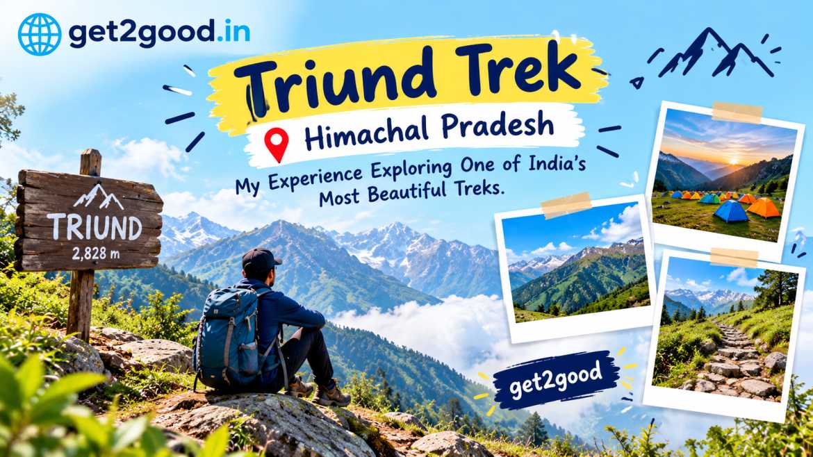 Triund Trek Himachal Pradesh: My Experience Exploring One of India's Most Beautiful Treks